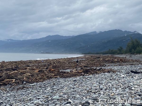 ▲▼山陀兒颱風侵台後，台東海岸線佈滿漂流木。（圖／翻攝自農業部林業及自然保育署台東分署）