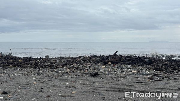 ▲▼山陀兒颱風侵台後，台東海岸線佈滿漂流木。（圖／翻攝自農業部林業及自然保育署台東分署）