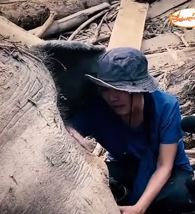 ▲▼ 泰國清邁大象自然公園大象被沖走，屍體尋獲，工作人員痛哭。（圖／翻攝自IG／elephantnaturepark）