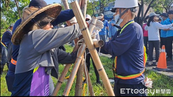 ▲屏東市民間團體自發攜手護樹             。（圖／屏東市公所提供）