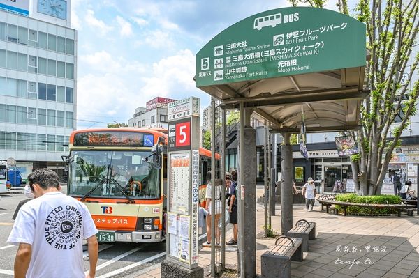 ▲▼靜岡景點三島天空步道，全日本最長吊橋！高空中欣賞富士山駿河灣。（圖／周花花提供）