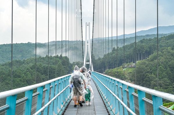 ▲▼靜岡景點三島天空步道，全日本最長吊橋！高空中欣賞富士山駿河灣。（圖／周花花提供）