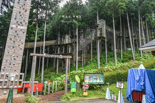 ▲▼靜岡景點三島天空步道，全日本最長吊橋！高空中欣賞富士山駿河灣。（圖／周花花提供）