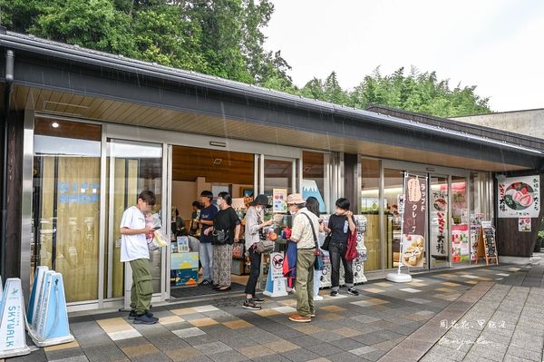 ▲▼靜岡景點三島天空步道，全日本最長吊橋！高空中欣賞富士山駿河灣。（圖／周花花提供）