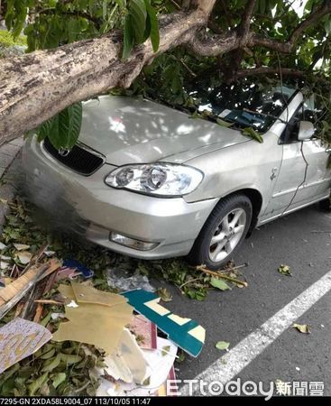 ▲▼ 愛車遭倒塌路樹壓到動不了…車主仍收繳費單傻眼　高市府回應了。（圖／記者賴文萱翻攝）