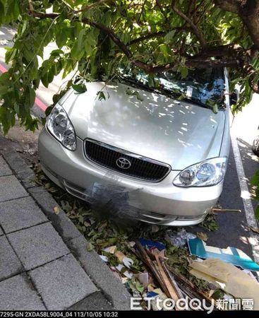 ▲▼ 愛車遭倒塌路樹壓到動不了…車主仍收繳費單傻眼　高市府回應了。（圖／記者賴文萱翻攝）