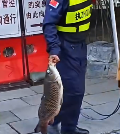 趵突泉保全勸別餵魚。（圖／翻攝自小紅書@濟南生活）