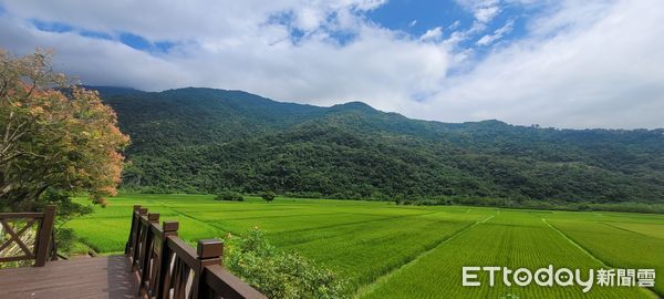 ▲南安有機稻田。（圖／玉山國家公園管理處提供，下同）