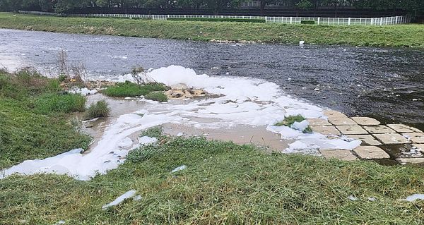 ▲桃園市桃園區南崁溪河段今天中午湧現大量白色泡沫，引發騎自行車與散步市民疑慮。（圖／環保局提供）