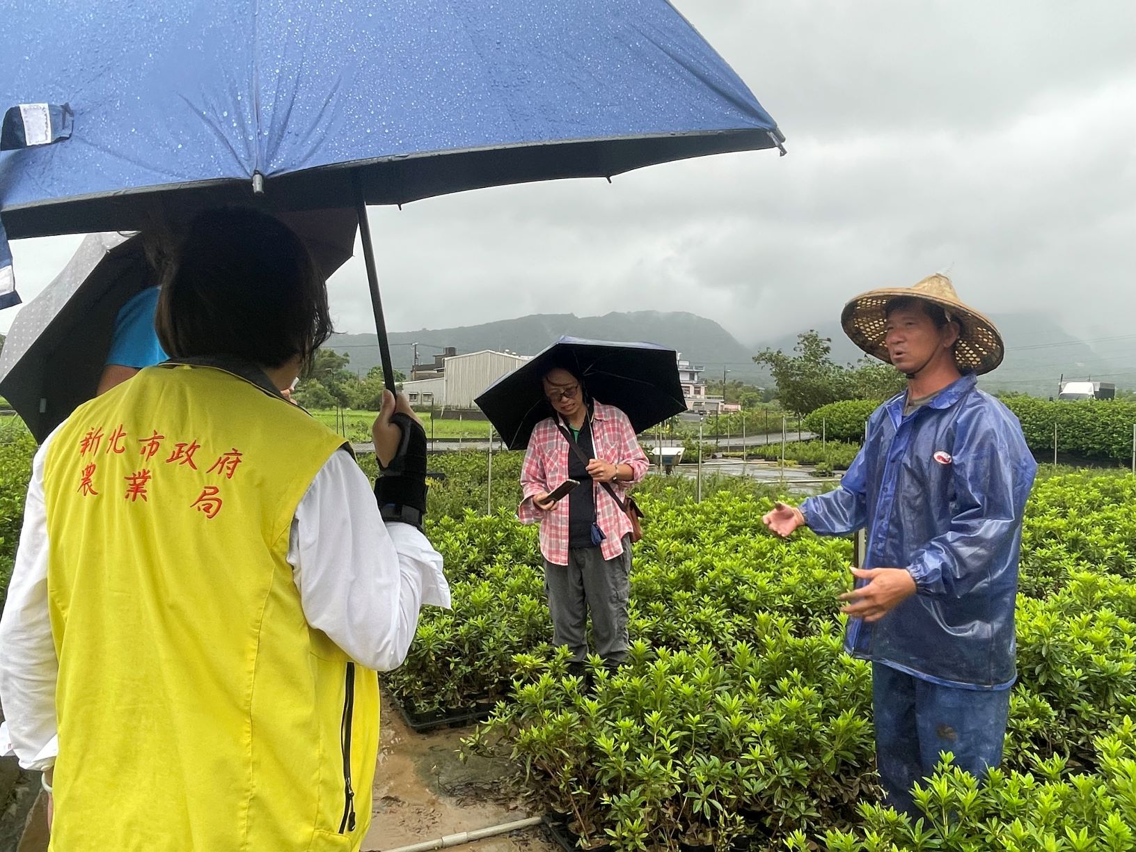 ▲新北3區盆花農損現金救助。（圖／新北市農業局提供）