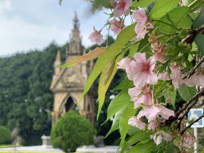 九族首次推「部落花季」明起登場！