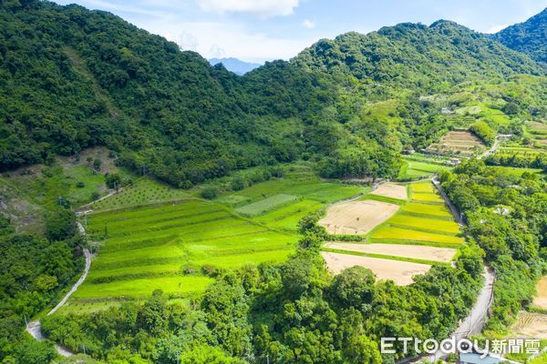 ▲▼花蓮縣富里鄉地處風景優美的花東縱谷，為全國著名的米鄉。（圖／富里鄉公所提供，下同）