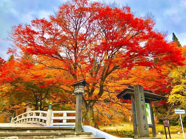 ▲▼福島土津神社。（圖／日本旅遊推廣中心提供）