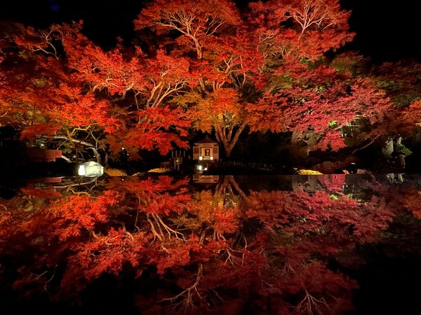 ▲▼福島平出山寶藏寺。（圖／南相馬鹿島觀光協會提供）