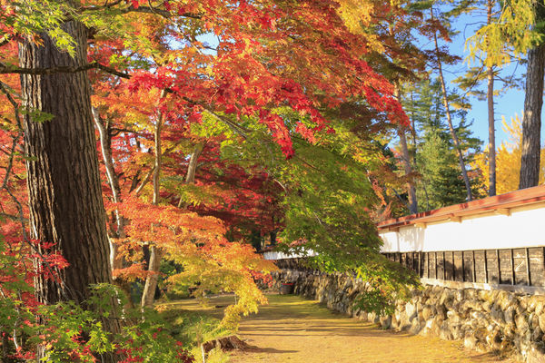 ▲▼福島縣福滿虛空藏菩薩圓藏寺。（圖／福島縣觀光復興推進委員會提供）