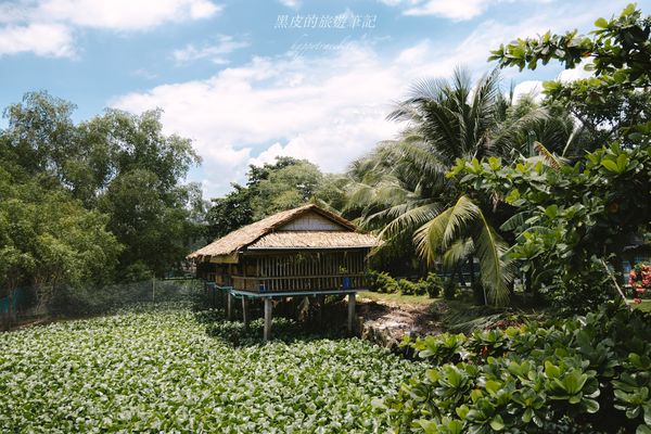 ▲▼湄公河美食餐廳 khu du lich con phung ben tre – Con Phung，體驗釣鱷魚還有品味傳說站立的魚。（黑皮提供）