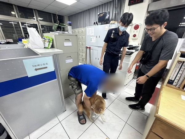 基隆狗狗走失。（圖／基隆警馨雲提供）