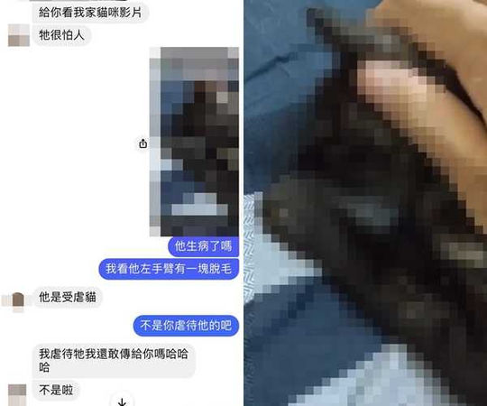 曾就讀玄奘大學的張姓男子，其疑似還拍下他撫摸疑似已經死亡的黑貓照片，向欲尋找領養人的飼主證明「自己很愛貓」。（圖／民眾提供）