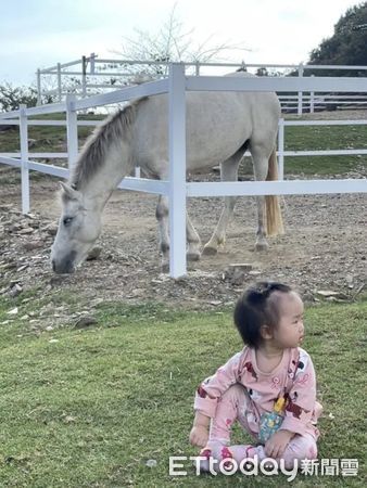 ▲清境農場馬術秀的主角「蛋蛋家族」。（圖／清境農場提供）