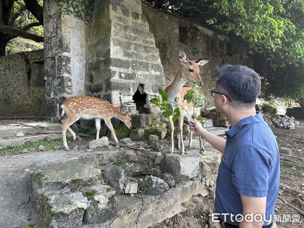 ▲▼羅文嘉提議送梅花鹿給對岸！取名「和和平平」象徵「和平之鹿」。（圖／記者蔡紹堅攝）