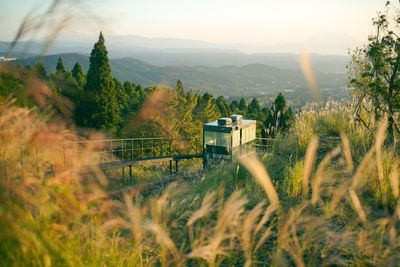 走進「界霧島」緩慢電車穿過飄逸芒海