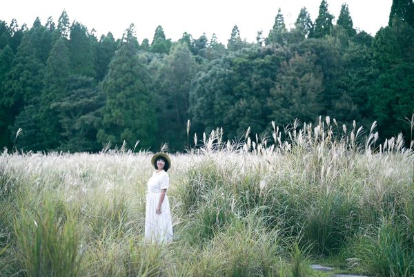 ▲▼早聽聞芒花似雪，但沒想到初秋的「界霧島」會如此夢幻，搭乘纜車緩緩穿過霧島高原，踩在芒花搖曳的小徑去泡湯的過程，是一種秋日限定的浪漫。（圖／部落客妮可魯的飛行日記授權提供，勿擅自翻攝）