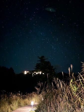 ▲▼早聽聞芒花似雪，但沒想到初秋的「界霧島」會如此夢幻，搭乘纜車緩緩穿過霧島高原，踩在芒花搖曳的小徑去泡湯的過程，是一種秋日限定的浪漫。（圖／部落客妮可魯的飛行日記授權提供，勿擅自翻攝）