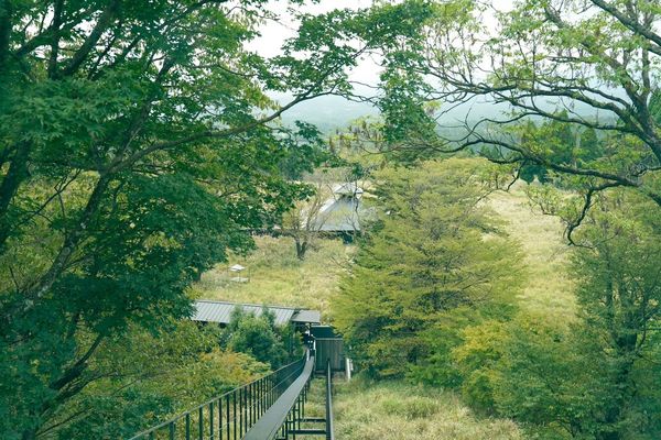 ▲▼早聽聞芒花似雪，但沒想到初秋的「界霧島」會如此夢幻，搭乘纜車緩緩穿過霧島高原，踩在芒花搖曳的小徑去泡湯的過程，是一種秋日限定的浪漫。（圖／部落客妮可魯的飛行日記授權提供，勿擅自翻攝）