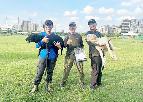 ▲桃園市消防局特搜大隊搜救犬小組上月參加在新竹市消防局舉辦的IRO國際搜救犬組織認證考試，搜救犬Nero（黑色）與April（右）分別通過高級瓦礫搜救犬認證。（圖／桃園市消防局提供）