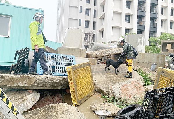 ▲桃園市消防局特搜大隊搜救犬小組上月參加在新竹市消防局舉辦的IRO國際搜救犬組織認證考試，搜救犬Nero（黑色）通過高級瓦礫搜救犬認證考試。（圖／桃園市消防局提供）