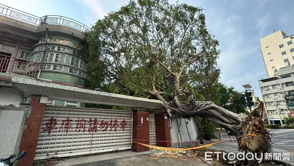 ▲▼ 光陽,柯家,安全帽樹,陳家,起家厝            。（圖／記者張雅雲攝）