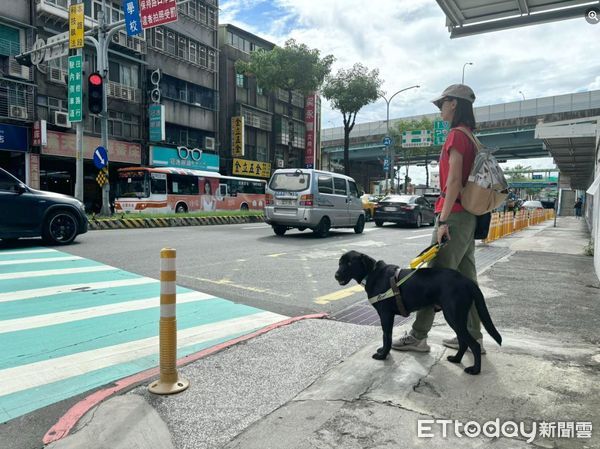 導盲犬工作遇辛酸！　帶視障者搭車遭忽略...幸運有好心司機協助