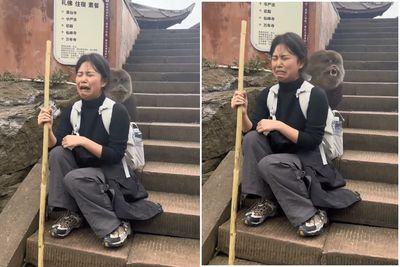 嫩妹遊峨眉山　慘遭「山道猴子」硬上！她痛哭大罵：你好醜