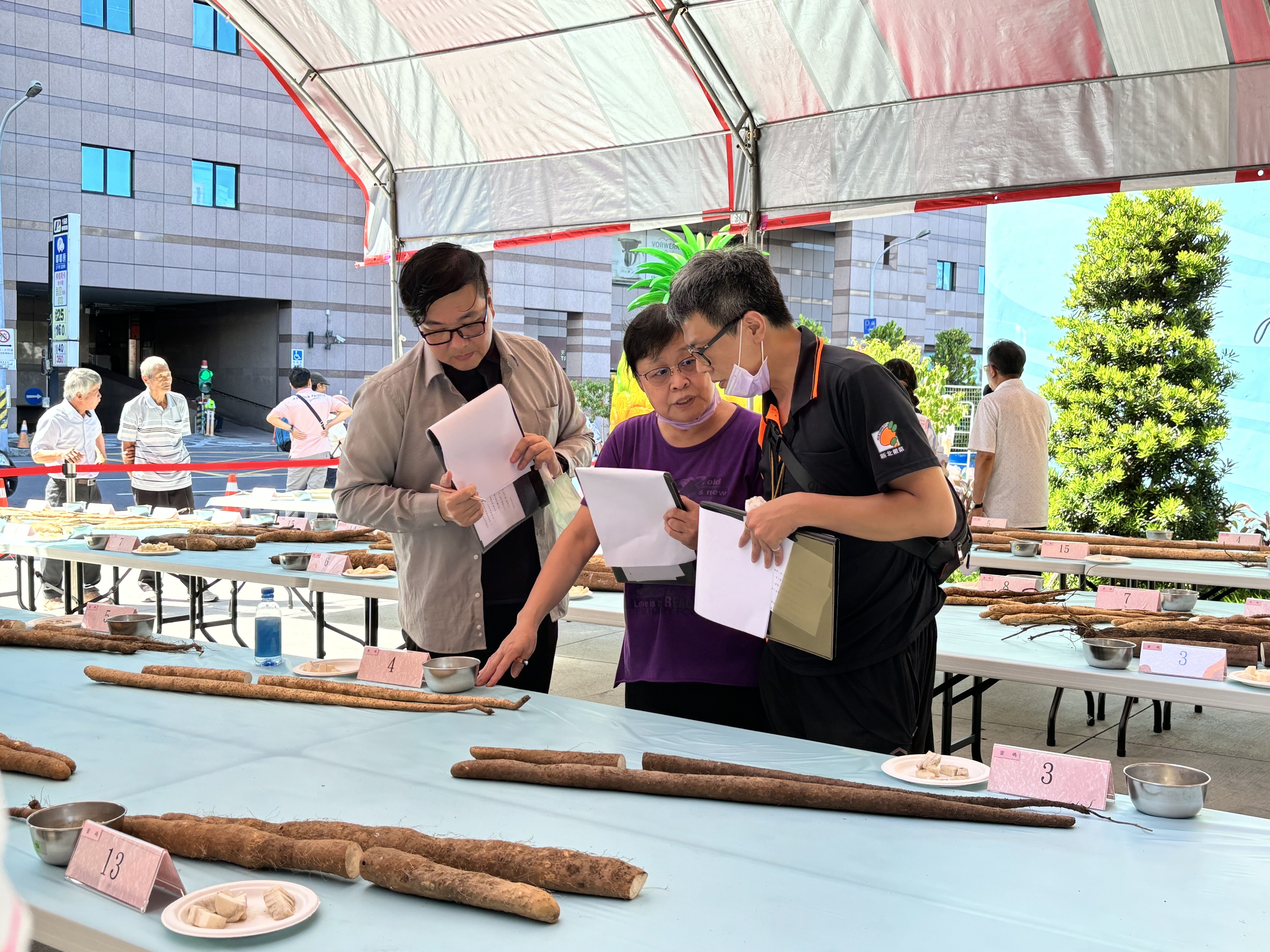 ▲Q彈養胃秋季聖品　魏秋林勇奪新北山藥冠軍。（圖／新北市農業局提供）