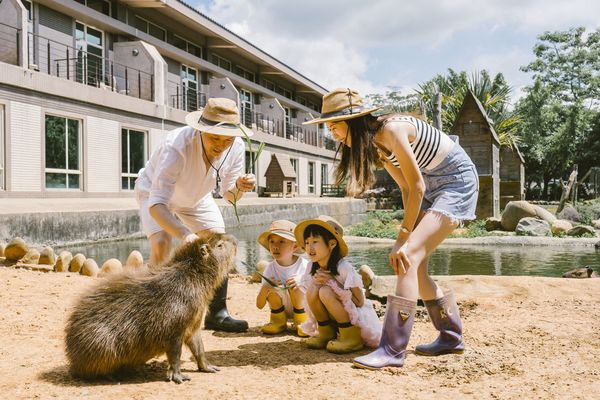 ▲六福村遊樂園 墓碑鎮,福豚生態體驗,六福村 草原歷險。（圖／六福旅遊集團提供）