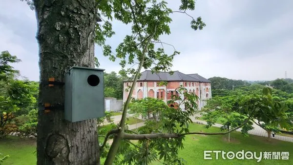 ▲台南山上花園水道博物館以生態見長，為了充分利用這個優勢，館方與生態團體合作，在園區架設了5組巢箱，為野生動物提供安全棲息場所。（圖／記者林東良翻攝，下同）