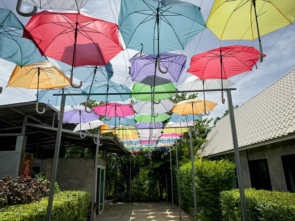 ▲▼泰國佛統府鴨鴨樂園，親子遊樂景觀餐廳，就像是座小型動物園，動物園打卡、鴨鴨船遊和經典泰式料理全攻略。（圖／viviyu提供）