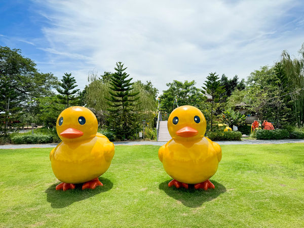 ▲▼泰國佛統府鴨鴨樂園，親子遊樂景觀餐廳，就像是座小型動物園，動物園打卡、鴨鴨船遊和經典泰式料理全攻略。（圖／viviyu提供）