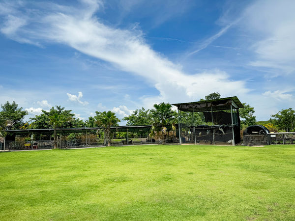 ▲▼泰國佛統府鴨鴨樂園，親子遊樂景觀餐廳，就像是座小型動物園，動物園打卡、鴨鴨船遊和經典泰式料理全攻略。（圖／viviyu提供）