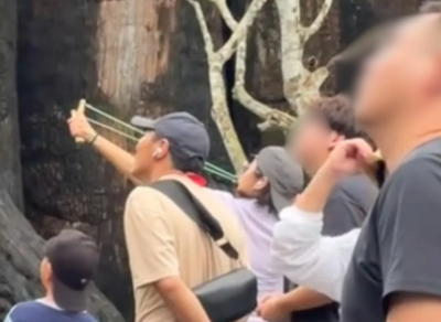 陸女遊泰國動物園「疑拿彈弓射猴子」！同行友歡呼　惡劣畫面曝