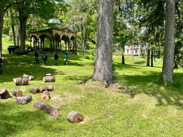 ▲▼星野集團進軍北美開設溫泉旅館。（圖／星野集團提供）