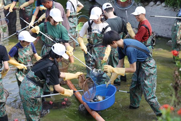 成大成功湖清淤學生下水開挖　魚、龜、陳年皮球全現蹤