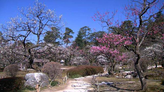 ▲▼日本石川縣金澤市，日本三名園之一的兼六園美景。（圖／翻攝pref.ishikawa.jp）