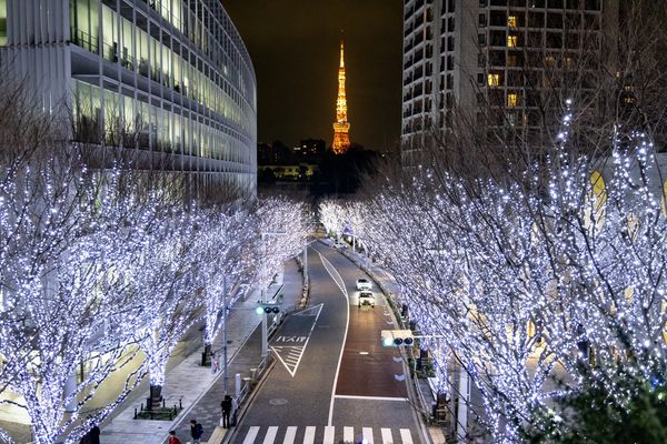 ▲▼東京六本木櫸木坂點燈，六本木聖誕市集。（圖／森ビル株式会社提供）