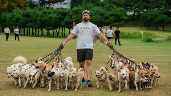 ▲38隻狗狗打破世界紀錄。（圖／翻攝自Facebook／Guinness World Records）