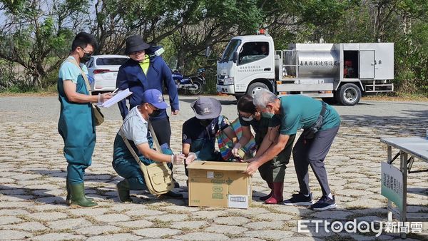 ▲嘉義縣辦黑面琵鷺棲地巡護、救傷演練 候鳥安心來嘉度冬  。（圖／嘉義縣政府提供）