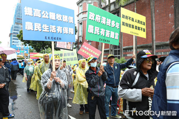 ▲國民黨號召支持者上街「挺原民、顧農民、保醫護」，近千人響應。（圖／記者林敬旻攝）