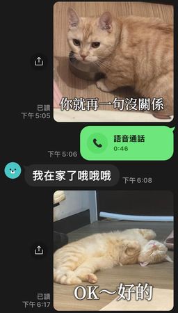 ▲自家橘貓變「表情包」撒嬌頂嘴超萬用　作者：因為我懶得打字。（圖／小尚提供，請勿隨意翻拍，以免侵權。）