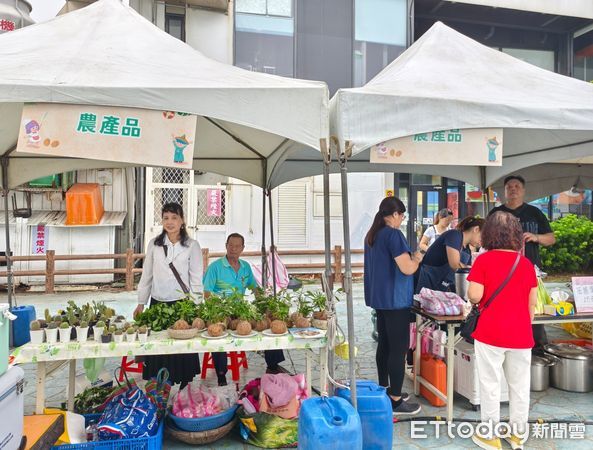 ▲新北三芝茭白筍節熱鬧登場。（圖／記者戴上容翻攝）