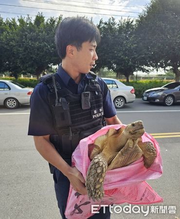 ▲▼警方獲報帶返警所，並通知飼主帶回。（圖／蘆竹警分局提供）